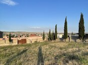 Satılır  torpaq 50 sot, Novxanı q., photo 3 from 7