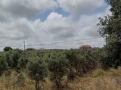 Satılır  torpaq 10 sot, Buzovna q., photo 2 from 2