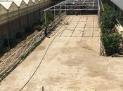 Satılır  obyekt 1 500 m², Türkan q., photo 4 from 8
