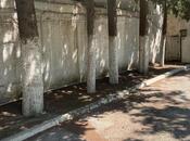 Satılır 10 otaqlı həyət evi/bağ evi 450 m², Fatmayı q., photo 1 from 8
