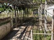 Satılır 10 otaqlı həyət evi/bağ evi 450 m², Fatmayı q., photo 4 from 8