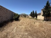 Satılır  torpaq 6 sot, Albalılıq q., photo 2 from 2