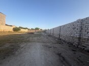Satılır  torpaq 8 sot, Albalılıq q., photo 2 from 2
