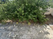 Satılır 3 otaqlı həyət evi/bağ evi 80 m², Novxanı q., photo 5 from 8
