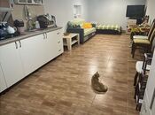 Satılır 4 otaqlı həyət evi/bağ evi 140 m², Ramana q., photo 7 from 8