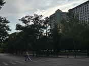 Satılır  obyekt 750 m², Nəsimi r., photo 6 from 8