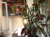 Продаётся 3-комн. вторичка 70 м², м. Мемар Аджеми, photo 7 from 8