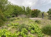 Продаётся  участок 16 сот, пос. Новханы, photo 3 from 6