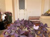 İcarəyə verilir 2 otaqlı yeni tikili 60 m², Əhmədli m., photo 1 from 8