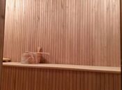 İcarəyə verilir 8 otaqlı həyət evi/bağ evi 500 m², Badamdar q., photo 5 from 8