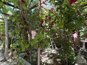 Продаётся 5-комн. дом/дача 260 м², пос. Новханы, photo 1 from 8