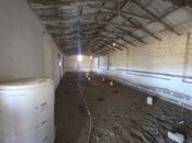 Satılır  obyekt 40 m², Maştağa q., photo 2 from 8