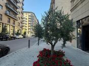 Сдаётся  объект 46 м², пос. Аг шехер, photo 2 from 7