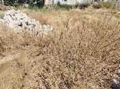 Satılır  torpaq 2 sot, Köhnə Günəşli q., photo 7 from 8