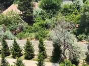 İcarəyə verilir 1 otaqlı köhnə tikili 40 m², Həzi Aslanov m., photo 6 from 8