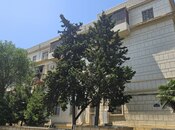 Продаётся 2-комн. вторичка 56 м², м. Низами, photo 1 from 8