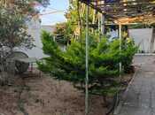 İcarəyə verilir 3 otaqlı həyət evi/bağ evi 100 m², Mərdəkan q., photo 2 from 8