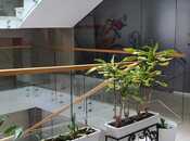 İcarəyə verilir 1 otaqlı ofis 38 m², Nəriman Nərimanov m., photo 1 from 8