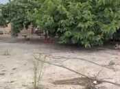 Satılır  torpaq 5 sot, Saray q., photo 1 from 5