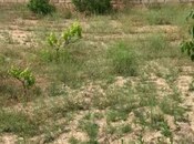 Satılır  torpaq 11 sot, Pirşağı q., photo 5 from 8