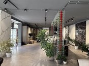 Сдаётся  объект 270 м², м. Гянджлик, photo 7 from 8