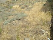 Продаётся  участок 3 сот, пос. Бадамдар, photo 4 from 5