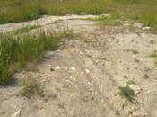 Продаётся  участок 3 сот, пос. Бадамдар, photo 3 from 5