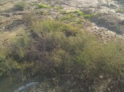 Продаётся  участок 3 сот, пос. Бадамдар, photo 1 from 5