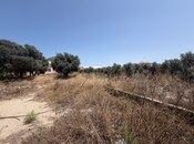 Satılır  torpaq 50 sot, Buzovna q., photo 5 from 5