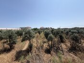 Satılır  torpaq 50 sot, Buzovna q., photo 4 from 5