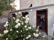 Продаётся 4-комн. дом/дача 80 м², пос. Бакиханова, photo 6 from 8