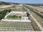 Elan №6234027 - Şabran, Şabran, 60 sot