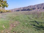 Elan №6234275 - Tovuz, Tovuz, 28 sot