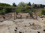 Satılır  torpaq 6 sot, Bilgəh q., photo 3 from 3