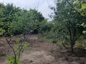Satılır  torpaq 6 sot, Bilgəh q., photo 1 from 3