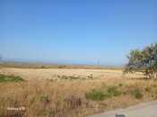 Elan №6234656 - Şabran, Şabran, 138 sot