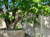 Satılır 3 otaqlı həyət evi/bağ evi 200 m², Pirşağı q., photo 2 from 8