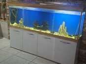 İcarəyə verilir  obyekt 310 m², Memar Əcəmi m., photo 8 from 8