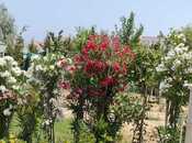 Satılır 6 otaqlı həyət evi/bağ evi 250 m², Görədil q., photo 4 from 8