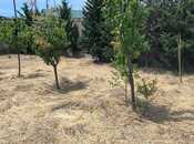 Продаётся  участок 3.5 сот, пос. Бадамдар, photo 5 from 5
