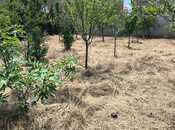 Продаётся  участок 3.5 сот, пос. Бадамдар, photo 4 from 5