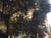 İcarəyə verilir 3 otaqlı köhnə tikili 90 m², Sahil m., photo 7 from 8