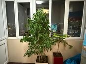 Satılır 4 otaqlı yeni tikili 155 m², Qara Qarayev m., photo 8 from 8