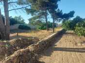 Satılır  torpaq 3 sot, Bilgəh q., photo 3 from 6