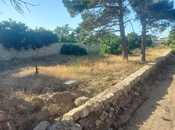 Satılır  torpaq 3 sot, Bilgəh q., photo 2 from 6