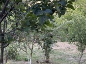 Elan №6239325 - Şabran, Şabran, 3 otaqlı, 85 m²