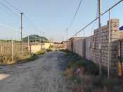 Продаётся  участок 6 сот, пос. Пиршаги, photo 5 from 5