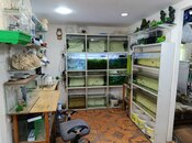 Сдаётся  объект 70 м², м. Иншаатчылар, photo 5 from 8
