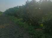 Satılır  torpaq 140 sot, Xaçmaz r., photo 8 from 8