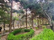 Satılır 3 otaqlı yeni tikili 100 m², Nəsimi m., photo 3 from 8